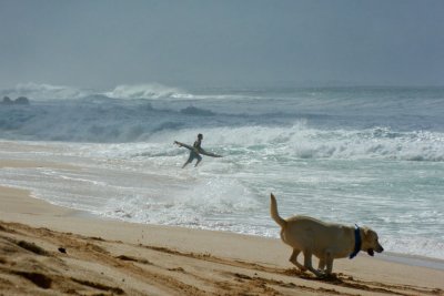 Forgot his board...