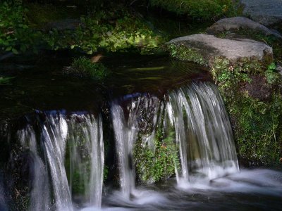 Waterfall at Fern Spring