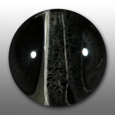 Pakoh used the graal technique on two sides of this glass disc featuring Dick Cheney, sandwiched between clear lenses.