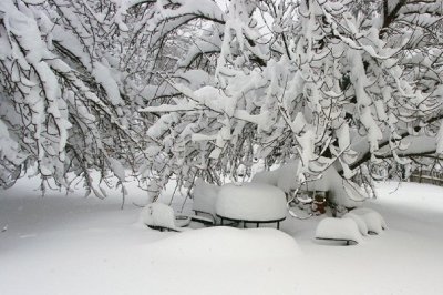 snow1.jpg