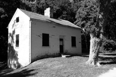 IMG_6535_bw.jpg
