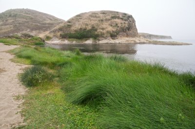 Abbotts Lagoon