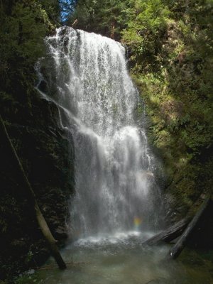 Berry Creek Falls in Sunlight