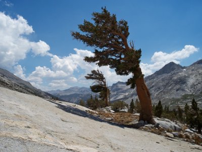 High Sierra Backpack, 2012