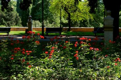 _MG_0472.jpg