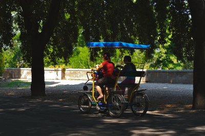 _MG_0484.jpg