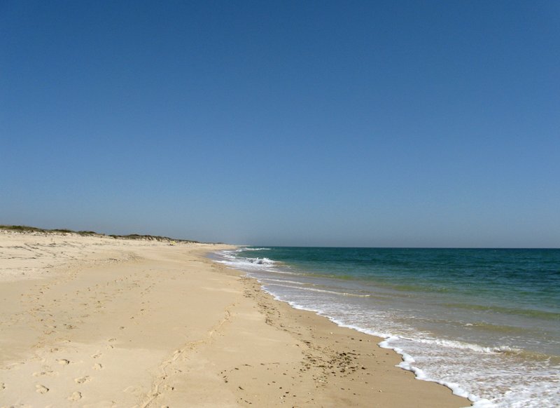 Ilha da Culatra