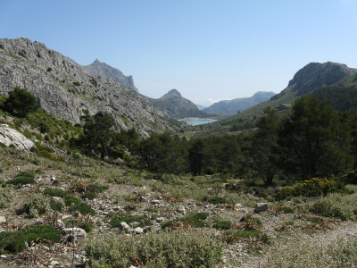 Coll de l'Ofre