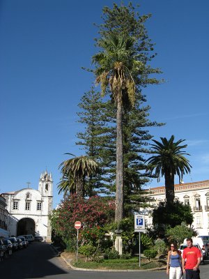 Tavira