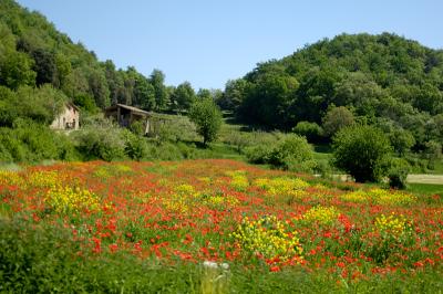 Spain - Wildlife of Olot - Garrotxa