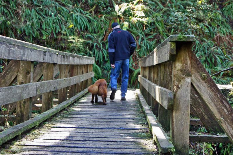 SCARDY DOG.  HE DIDN'T LIKE THE BOARDWALKS.
