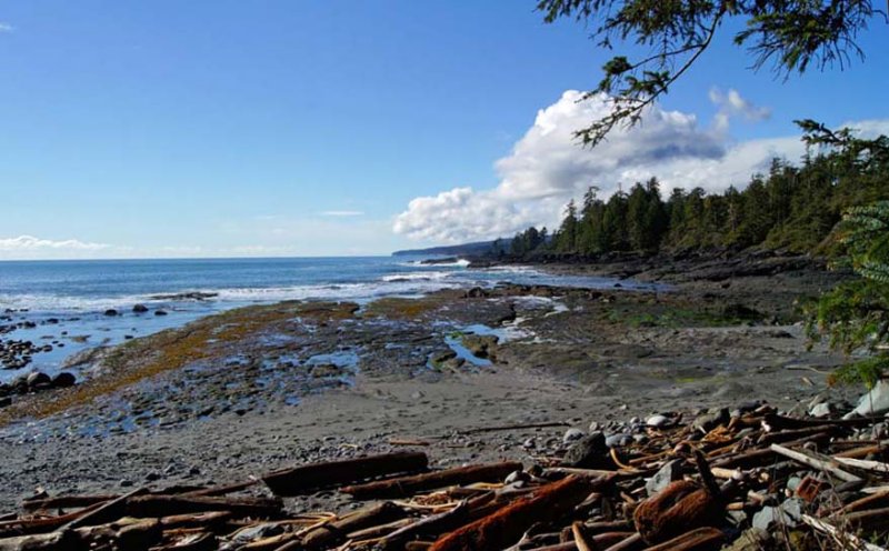 BOTANICAL BEACH