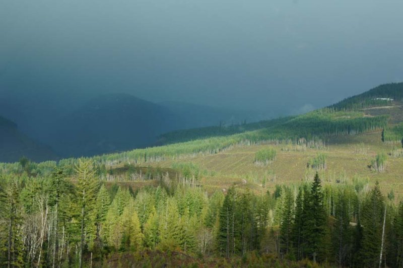 SUNLIT HILLS AND RAIN COMING