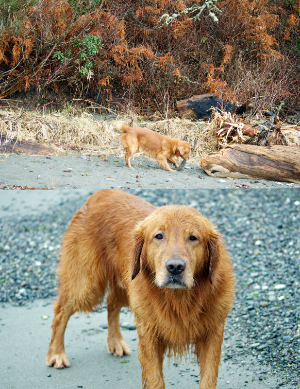 FIRST ONE IS FIND BLUE SECOND ONE IS READ MY EYES.....THROW THAT STICK.