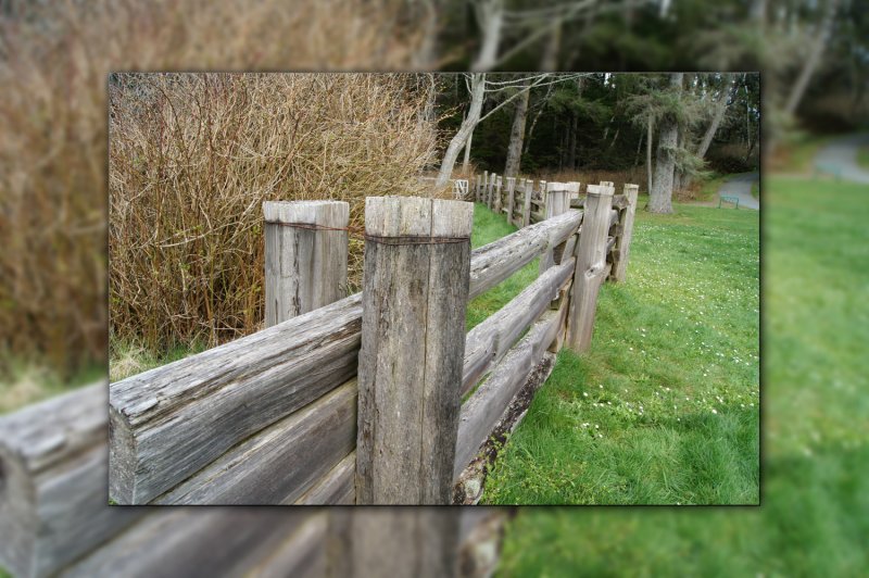 PARK FENCE