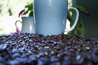 g4/89/632889/3/137738433.Zv6BnGBT.jpg