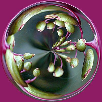 COBMO- photo, orb and kaleidoscopes (20 pictures)