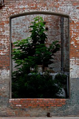 DSC_1631res.jpg