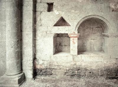 Basic-niches