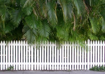 Fenced, Key West