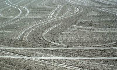 Tracks
