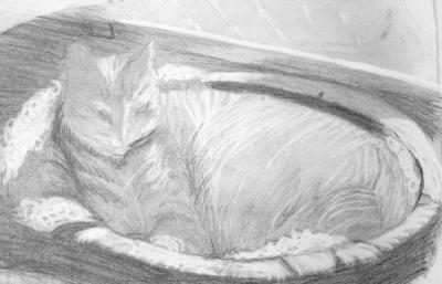 Cozy Kitty
