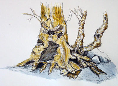 Stump Study
