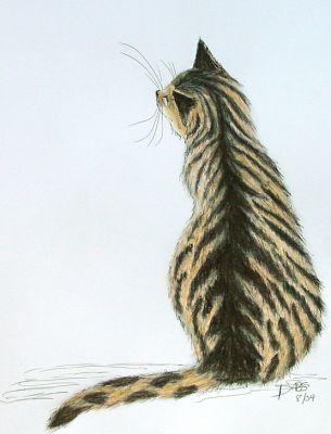 Tabby