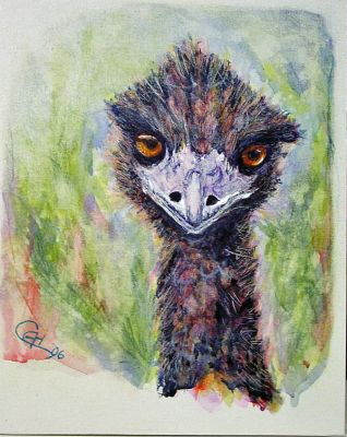 wildlife
