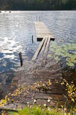 For the morning swim?