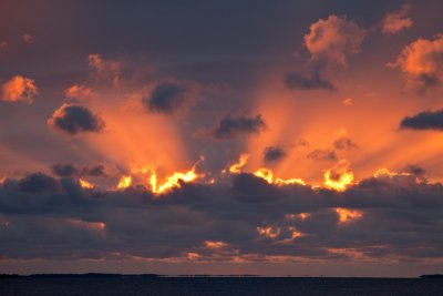Rays