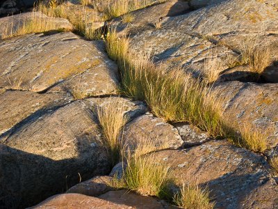 Rock and grass