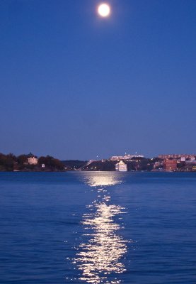 Sailing away in the moonlight