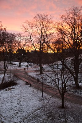 Sunrise over the park
