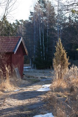 Juniper and barn