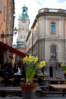 Springtime on Stortorget