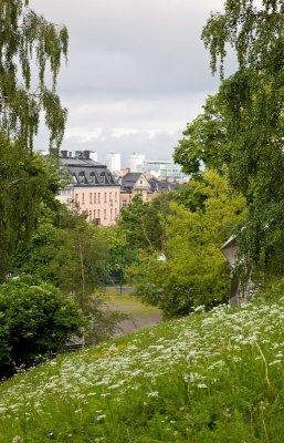 Green view over the city from Kronobergsparken