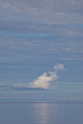 Bird cloud