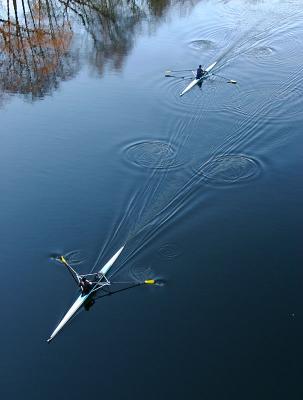 Autumn rowing