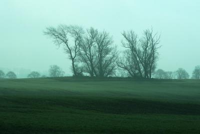 April 25: Misty morning in Skåne