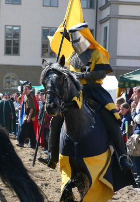 The yellow Knight