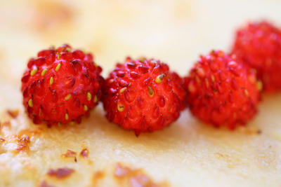 June 29: Wild srawberries on pankake