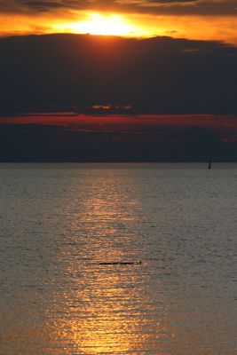 Mother with children swiming in sunset