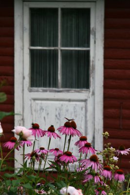 August 10: The small garden