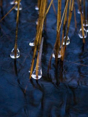 Ice droplets