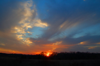 Orange, White, Blue