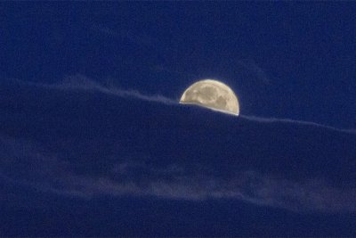 Extra Large Full  Flower Moon