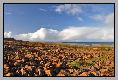 Stone landscape