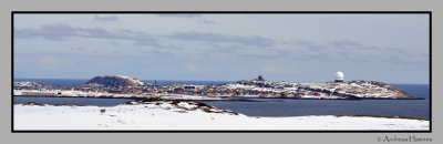 Vard