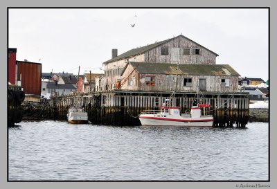 Fish pier